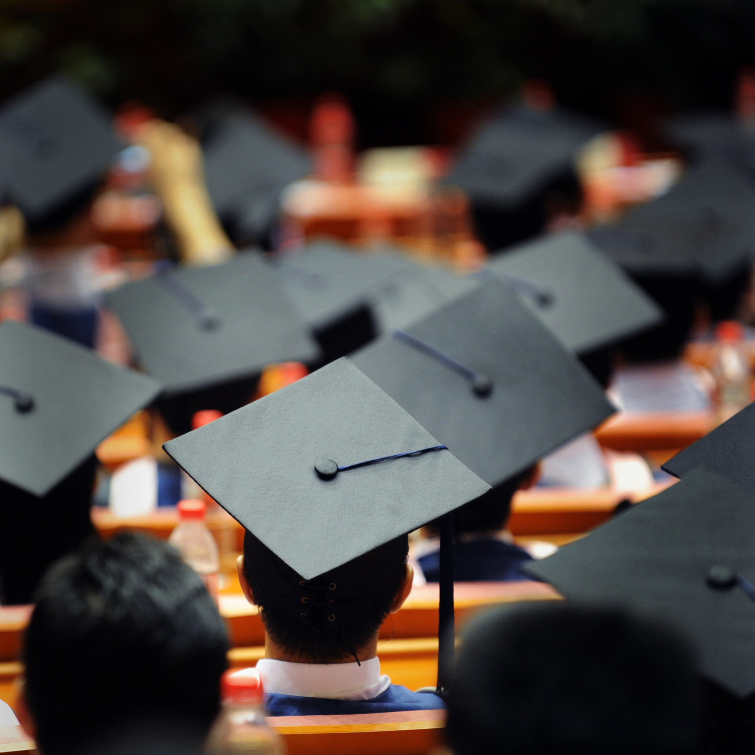 Photo of Law Student Graduation