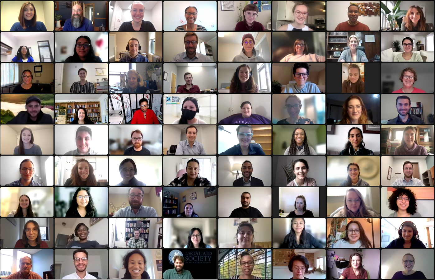 Screenshot of Fellows in a Zoom webinar